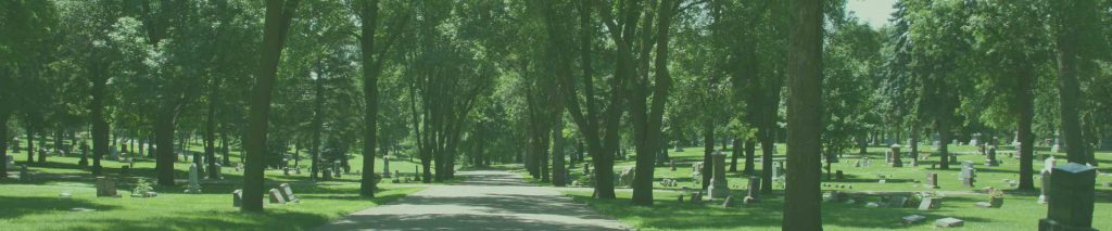 Help Maintain Our Trees At Mount Pleasant Cemetery
